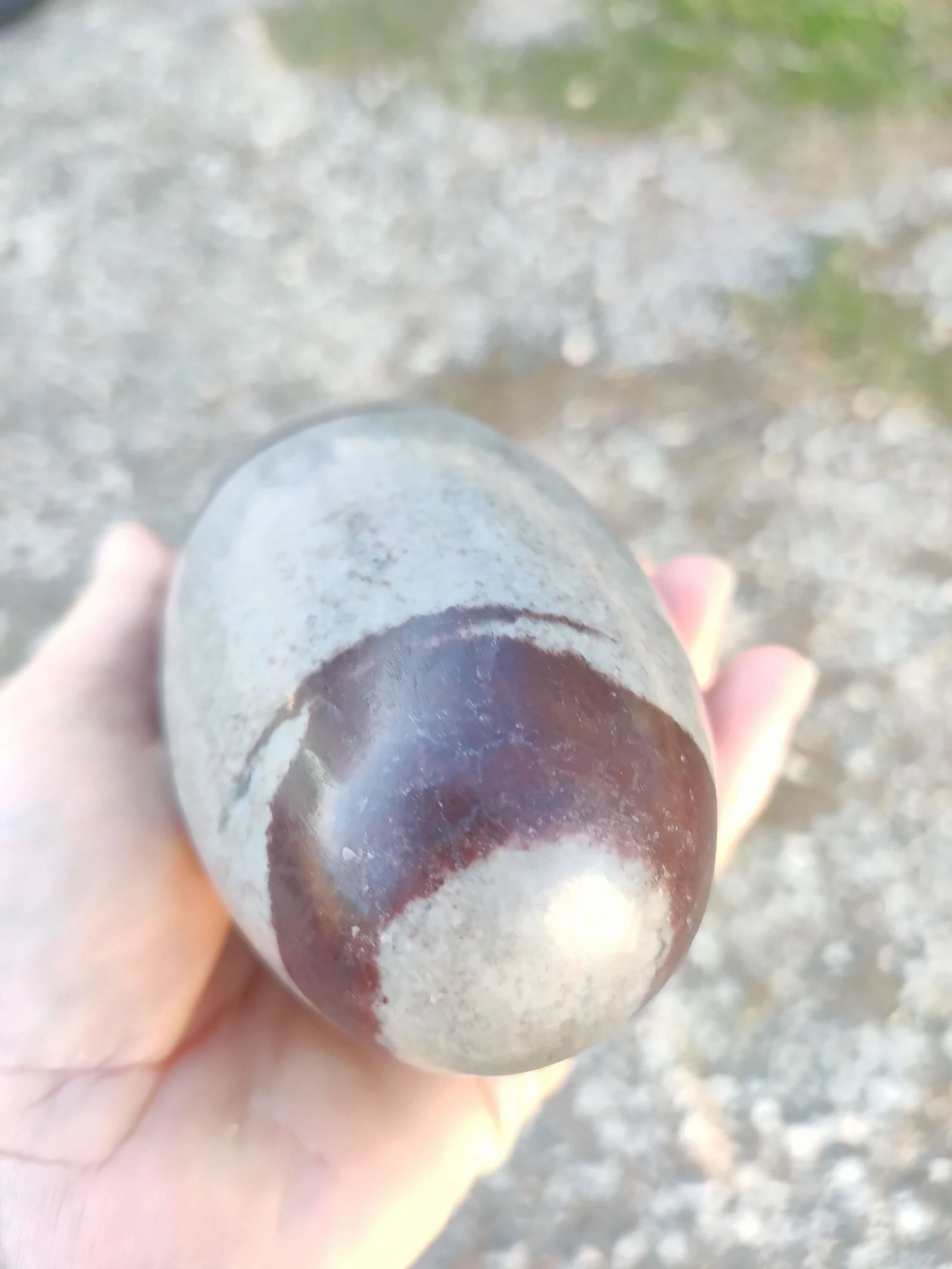 Un œuf shiva lingam – photo 4